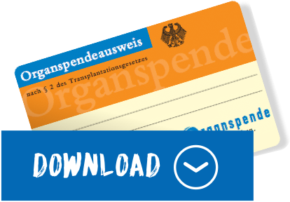 Organspendeausweis herunterladen - PDF-Datei, interner Link